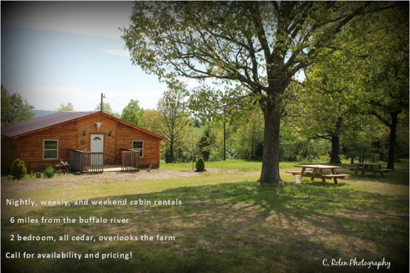 Cedar Cabin Located On A Buffalo Farm Marshall Екстер'єр фото